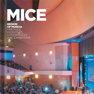 MICE Brochure