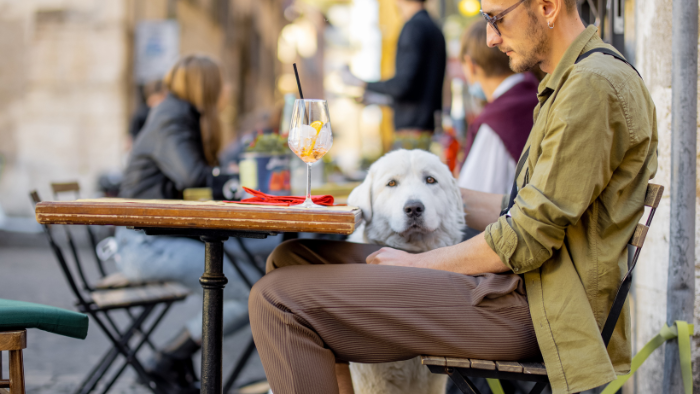 Restaurantes Dog-Friendly en la Región de Murcia